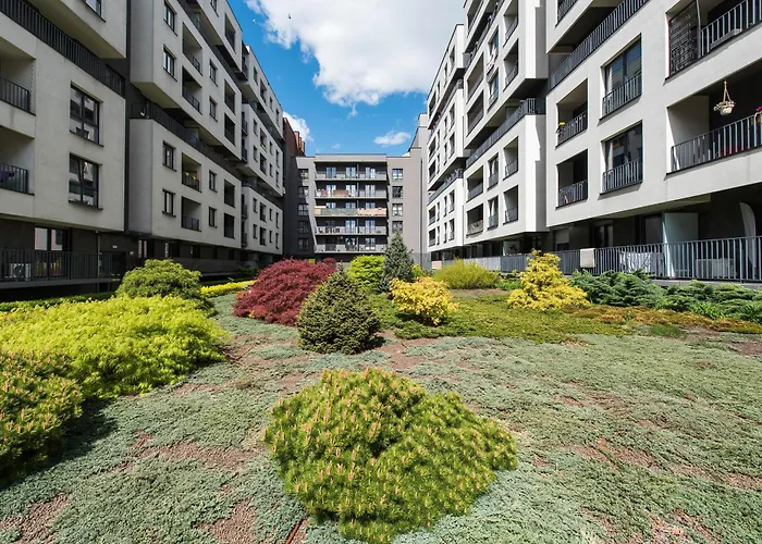 City Center Navyblue Luxury